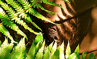 哪个平台最稳定的DDOS网页端平台